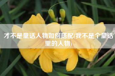 才不是童话人物如何搭配(我不是个童话里的人物)