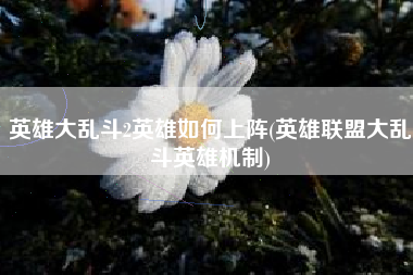 英雄大乱斗2英雄如何上阵(英雄联盟大乱斗英雄机制)