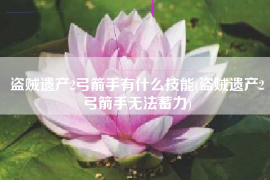 盗贼遗产2弓箭手有什么技能(盗贼遗产2弓箭手无法蓄力)