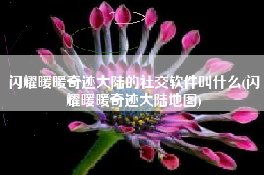闪耀暖暖奇迹大陆的社交软件叫什么(闪耀暖暖奇迹大陆地图)