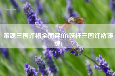 策魂三国许褚全面评价(铁杆三国许褚铸魂)