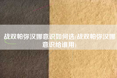 战双帕弥汉娜意识如何选(战双帕弥汉娜意识给谁用)