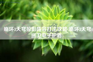 崩坏3天穹掠影阵容打法攻略(崩坏3天穹巡卫电子护盾)