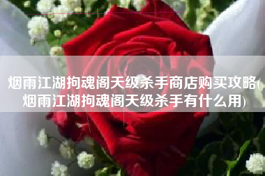 烟雨江湖拘魂阁天级杀手商店购买攻略(烟雨江湖拘魂阁天级杀手有什么用)