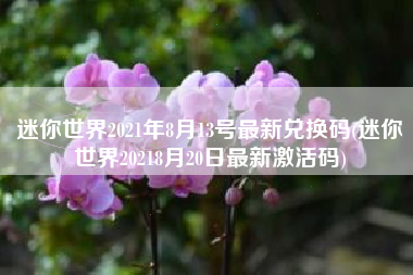 迷你世界2021年8月13号最新兑换码(迷你世界20218月20日最新激活码)