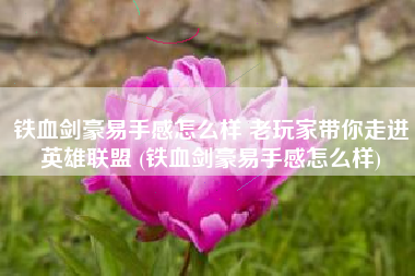铁血剑豪易手感怎么样 老玩家带你走进英雄联盟 (铁血剑豪易手感怎么样)