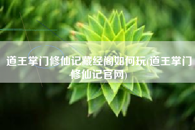 道王掌门修仙记藏经阁如何玩(道王掌门修仙记官网)