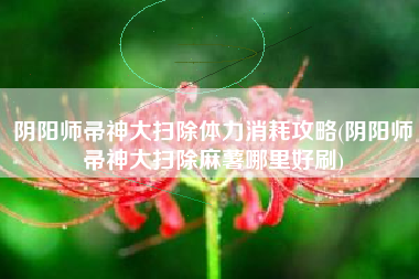 阴阳师帚神大扫除体力消耗攻略(阴阳师帚神大扫除麻薯哪里好刷)