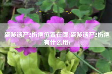 盗贼遗产2伤疤位置在哪(盗贼遗产2伤疤有什么用)