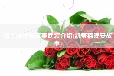 猫之城晚安故事武装介绍(凯蒂猫晚安故事)