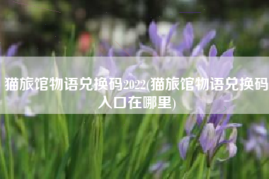 猫旅馆物语兑换码2022(猫旅馆物语兑换码入口在哪里)