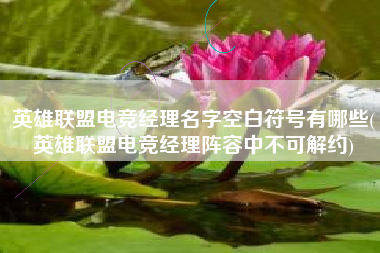 英雄联盟电竞经理名字空白符号有哪些(英雄联盟电竞经理阵容中不可解约)