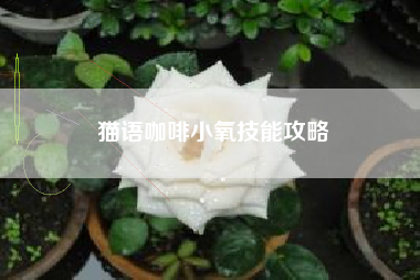 猫语咖啡小氧技能攻略