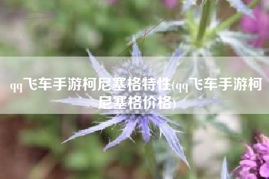 qq飞车手游柯尼塞格特性(qq飞车手游柯尼塞格价格)