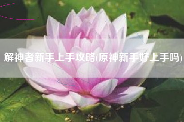 解神者新手上手攻略(原神新手好上手吗)