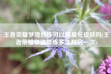 王者荣耀梦境修炼可以用星元皮肤吗(王者荣耀梦境修炼多久开启一次)
