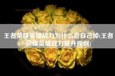 王者荣耀英雄战力为什么会自己掉(王者荣耀英雄战力提升规则)