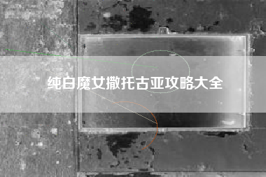 纯白魔女撒托古亚攻略大全