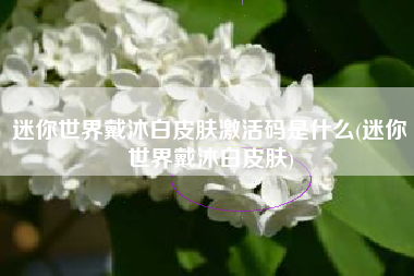 迷你世界戴沐白皮肤激活码是什么(迷你世界戴沐白皮肤)