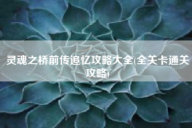 灵魂之桥前传追忆攻略大全(全关卡通关攻略)