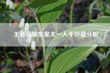 王者荣耀东皇太一入手价值分析