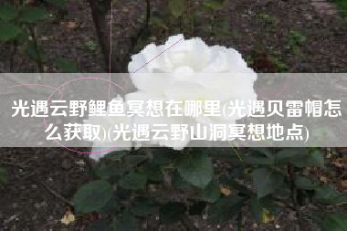 光遇云野鲤鱼冥想在哪里(光遇贝雷帽怎么获取)(光遇云野山洞冥想地点)