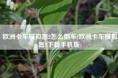 欧洲卡车模拟器2怎么倒车(欧洲卡车模拟器2下载手机版)