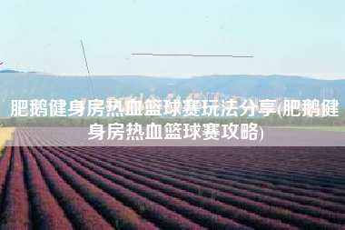 肥鹅健身房热血篮球赛玩法分享(肥鹅健身房热血篮球赛攻略)