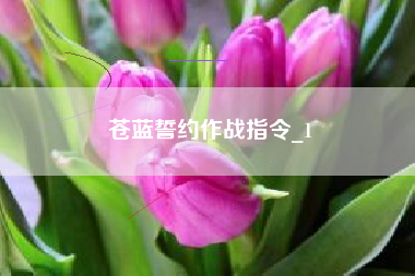 苍蓝誓约作战指令_1