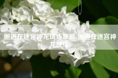 邂逅在迷宫神龙试炼攻略(邂逅在迷宫神龙试炼)