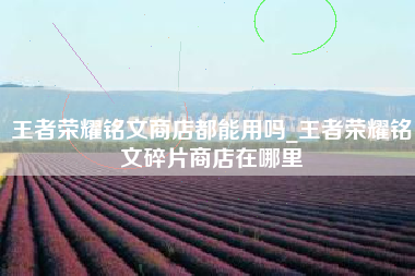 王者荣耀铭文商店都能用吗_王者荣耀铭文碎片商店在哪里