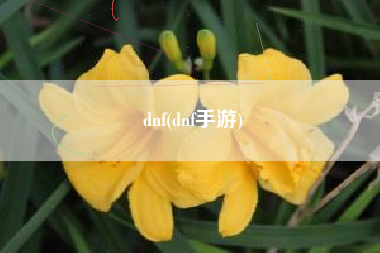 dnf(dnf手游)