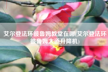 艾尔登法环彼鲁姆教堂在哪(艾尔登法环彼鲁姆大道升降机)