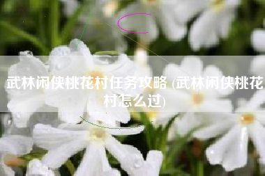 武林闲侠桃花村任务攻略 (武林闲侠桃花村怎么过)