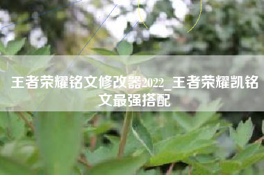 王者荣耀铭文修改器2022_王者荣耀凯铭文最强搭配