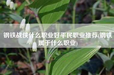 钢铁战侠什么职业好平民职业推荐(钢铁属于什么职业)