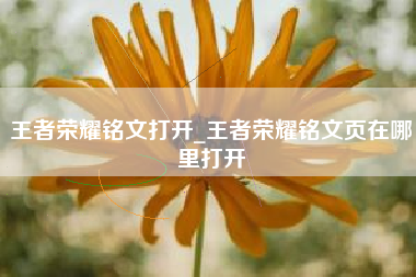 王者荣耀铭文打开_王者荣耀铭文页在哪里打开