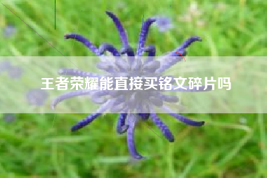 王者荣耀能直接买铭文碎片吗