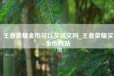 王者荣耀金币可以买铭文吗_王者荣耀买金币网站