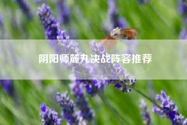 阴阳师麓丸决战阵容推荐