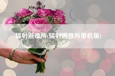 辐射避难所(辐射避难所单机版)