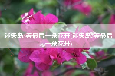 迷失岛3等最后一朵花开(迷失岛3等最后一朵花开)