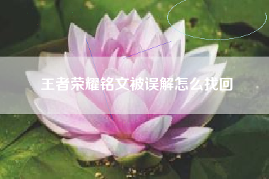 王者荣耀铭文被误解怎么找回