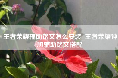 王者荣耀辅助铭文怎么安装_王者荣耀钟馗辅助铭文搭配