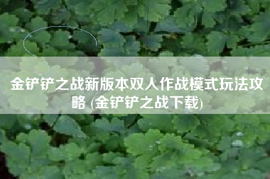 金铲铲之战新版本双人作战模式玩法攻略 (金铲铲之战下载)