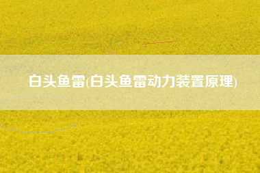 白头鱼雷(白头鱼雷动力装置原理)
