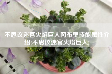 不思议迷宫火焰巨人冈布奥技能属性介绍(不思议迷宫火焰巨人)