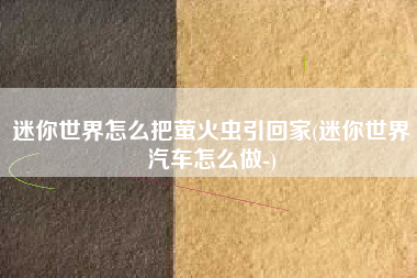 迷你世界怎么把萤火虫引回家(迷你世界汽车怎么做-)