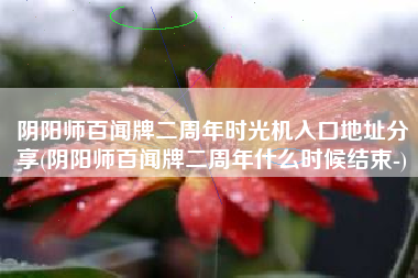 阴阳师百闻牌二周年时光机入口地址分享(阴阳师百闻牌二周年什么时候结束-)