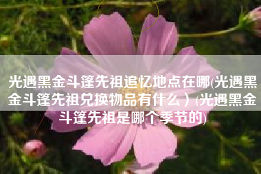 光遇黑金斗篷先祖追忆地点在哪(光遇黑金斗篷先祖兑换物品有什么）(光遇黑金斗篷先祖是哪个季节的)